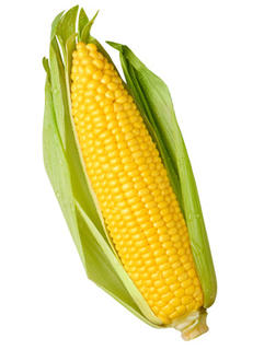 Example Corn