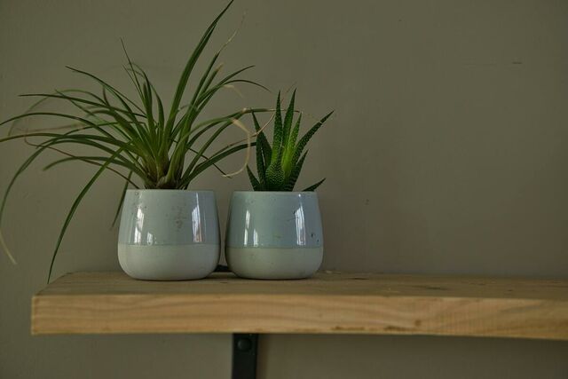 Ceramic Bowl Planters