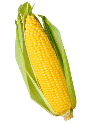 Example Corn